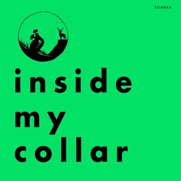 Album cover of Inside My Collar