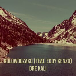 Album cover of Kulowoozako
