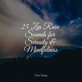 Album cover of 25 Zen Rain Sounds for Serenity & Mindfulness