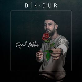 Album cover of Dik Dur