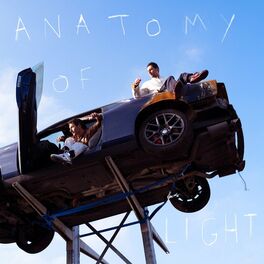 Album cover of Anatomy of Light