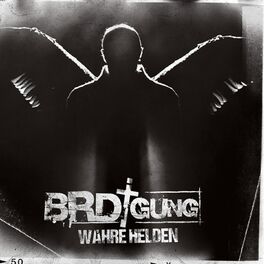 Album cover of Wahre Helden