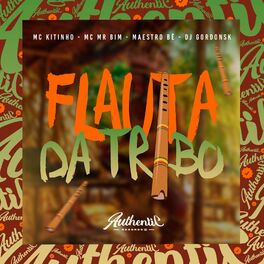 Album cover of Flauta da Tribo