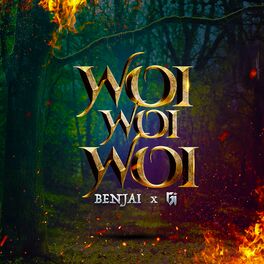 Album cover of Woi Woi Woi