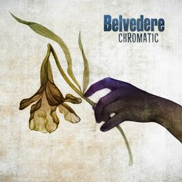Album cover of Chromatic