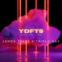 Album cover of YDFTS