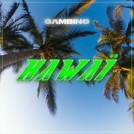 Album cover of Hawaï