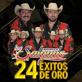 Album cover of 24 Éxitos de Oro