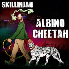 Album cover of Albino Cheetah