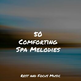 Album cover of 50 Comforting Spa Melodies
