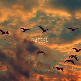 Album cover of Surah Yaseen (Powerful)