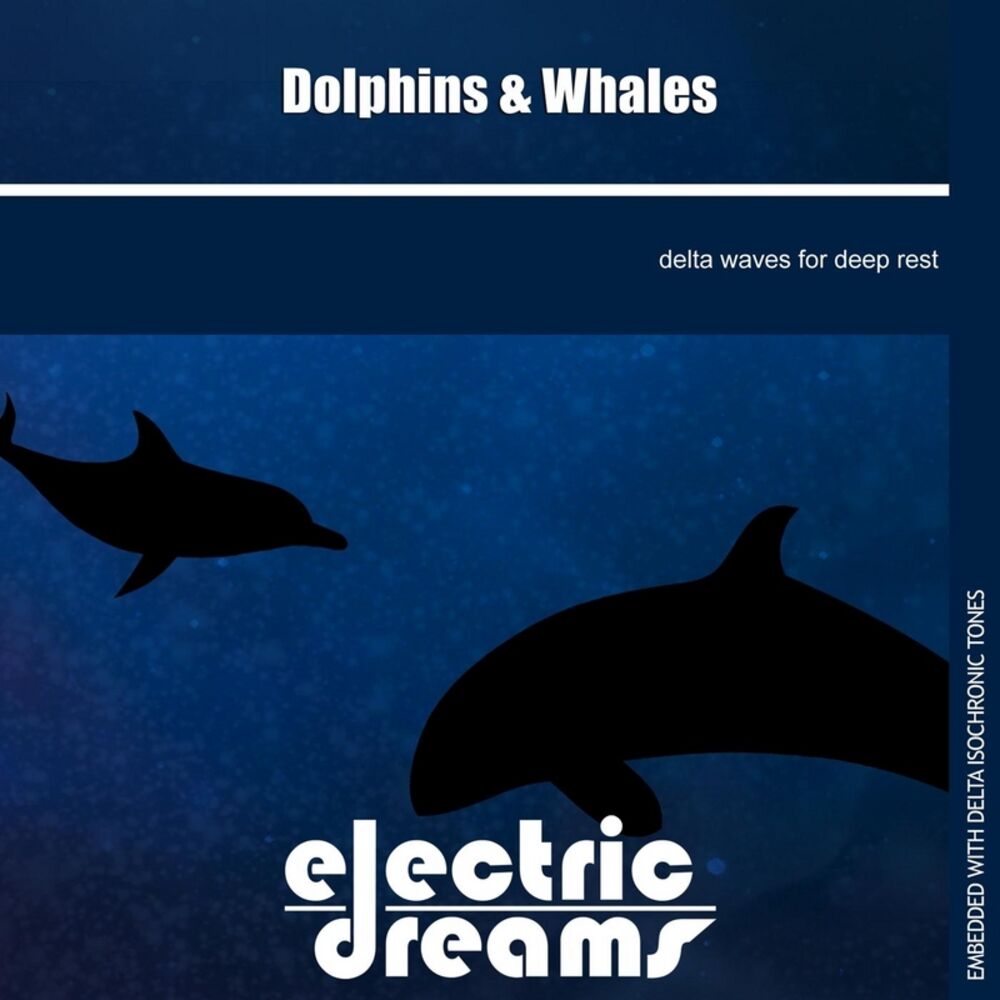 Песня танец дельфинов. Новый альбом дельфина. Долфин Дрим. Дельфин альбом Sunset. Синий Дельфин песня.