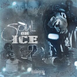 Album cover of Soul on Ice 2