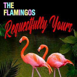 Album cover of Requestfully Yours