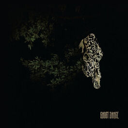 Album cover of Ghost Dance
