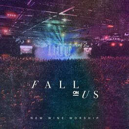 Album cover of Fall On Us (Live)