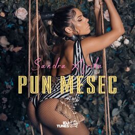 Album cover of Pun Mesec
