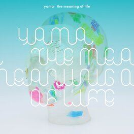 Album cover of the meaning of life