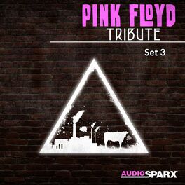 Album cover of Pink Floyd Tribute, Set 3