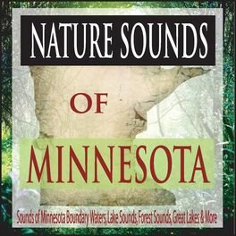 Album cover of Nature Sounds of Minnesota: Sounds of Minnesota Boundary Waters, Lake Sounds, Forest Sounds, Great Lakes & More