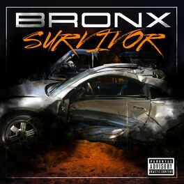 Album cover of Survivor