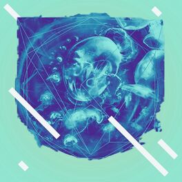 Album cover of EDM (Open Source Project) (feat. Kiko Loureiro) [Remix]