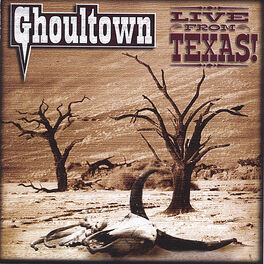 Album cover of Live From Texas! (CD & DVD)