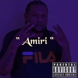 Album cover of Amiri