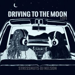 Album cover of Driving to the Moon