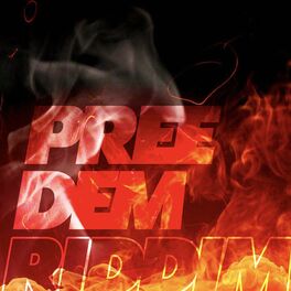 Album cover of Pree Dem Riddim