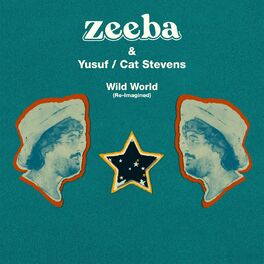 Album cover of Wild World (Re-Imagined)