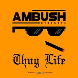 Album cover of Thug Life