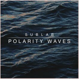 Album cover of Polarity Waves