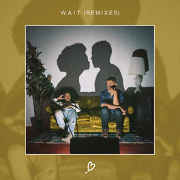 Album cover of Wait Remixes