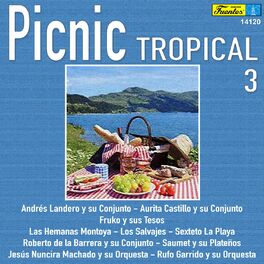 Album cover of Picnic Tropical 3
