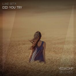 Album cover of Did You Try
