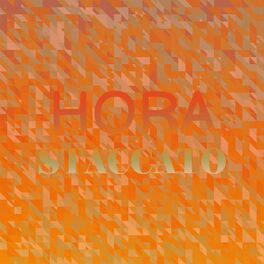 Album cover of Hora Staccato