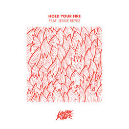 Album cover of Hold Your Fire