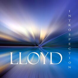 Album cover of Introspection