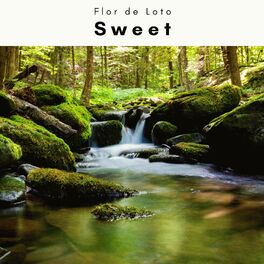 Album cover of A Sweet