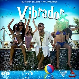 Album cover of Vibrador