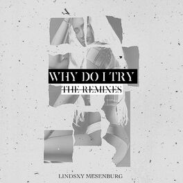 Album cover of Why Do I Try (The Remixes)