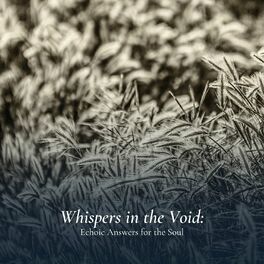 Album cover of Whispers in the Void: Echoic Answers for the Soul