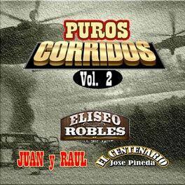 Album cover of Puros Corridos Vol. 2
