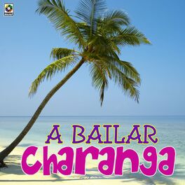 Album cover of A Bailar Charanga