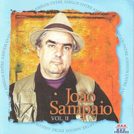 Album cover of João Sampaio Entre Amigos, Vol. 2