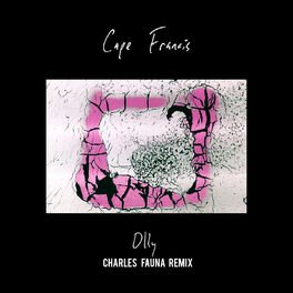 Album cover of Olly (Charles Fauna Remix)