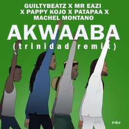 Album cover of AKWAABA (Trinidad Remix)