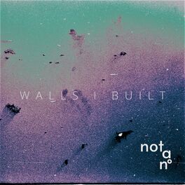 Album cover of Walls I Built
