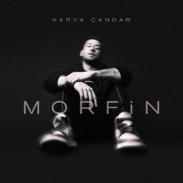 Album cover of Morfin
